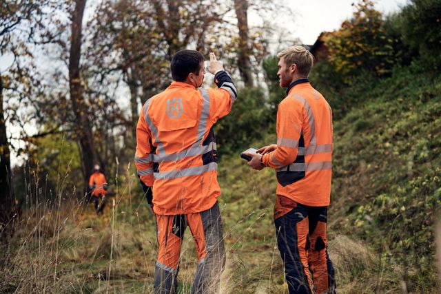 Chainsaw Academy - advanced tree felling