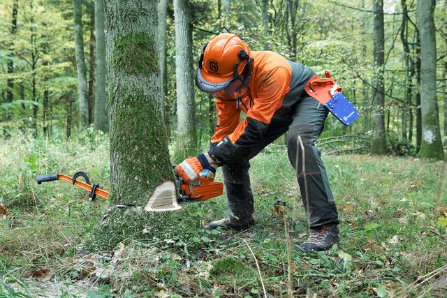 Working with chainsaws part 1