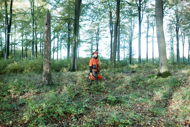 How to use a chainsaw Working with chainsaws, part 1
