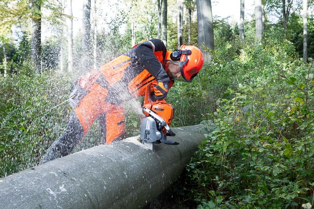 Images Working with chainsaws, part 2