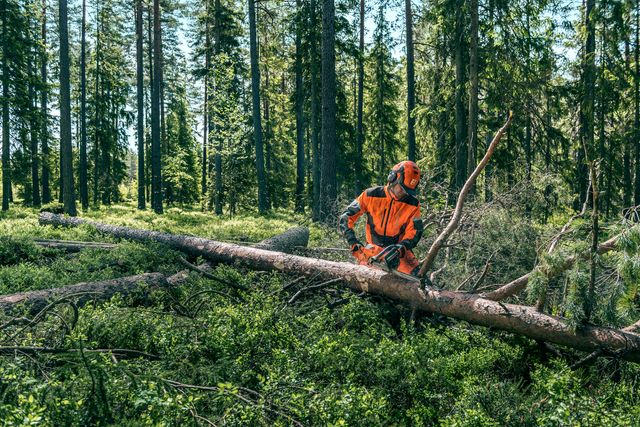 Chainsaw 560 XP
