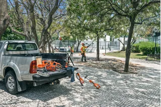 Workers in a park setting using outdoor power tools, with equipment displayed on a truck bed.