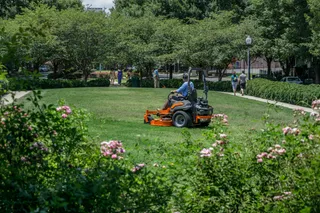 A person mowing lawn with a ride-on mower in a park setting.