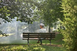 A person sitting on a park bench surrounded by lush greenery and trees.