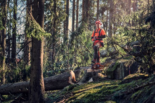 Logger standing resting water with 572 XP