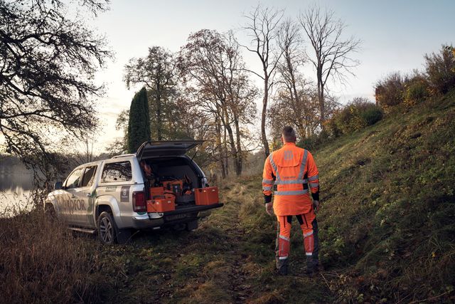 Chainsaw Academy - advanced tree felling