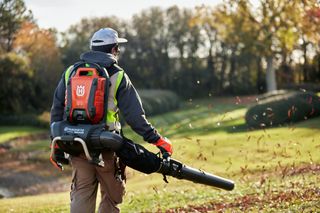 A person using a leaf blower to clear fallen leaves in a park setting.