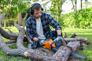 A person using a chainsaw to cut tree branches in a garden setting.