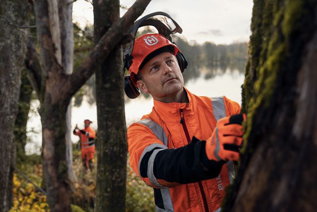 Chainsaw Academy - advanced tree felling
