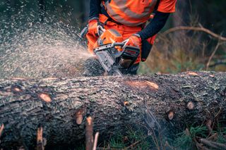 Campaign additional Chainsaw 592 XP
