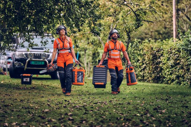 Arborist tree climbing preparing